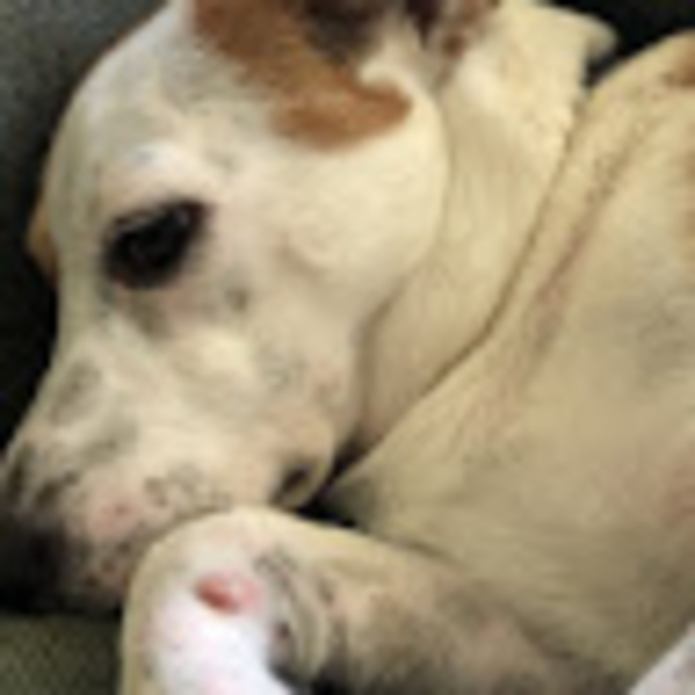 Meet your Posher, Ethan